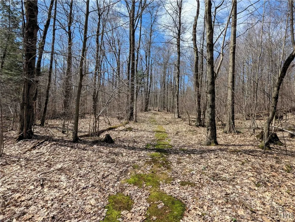 Swartz Road, Springwater, New York 14437, Springwater, New York 14437, ,Land,Closed,Swartz Road, Springwater, New York 14437,0,S1604010