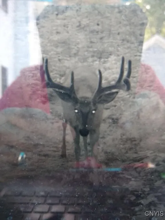 Swartz Road, Springwater, New York 14437, Springwater, New York 14437, ,Land,Closed,Swartz Road, Springwater, New York 14437,0,S1604010