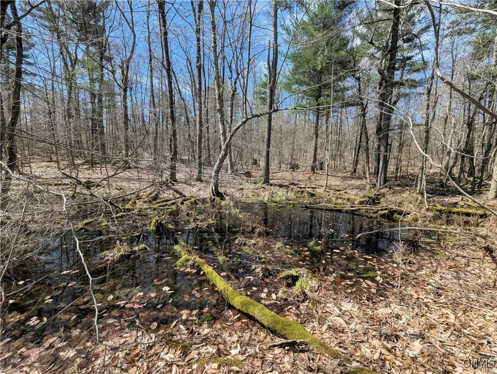Swartz Road, Springwater, New York 14437, Springwater, New York 14437, ,Land,Closed,Swartz Road, Springwater, New York 14437,0,S1604010