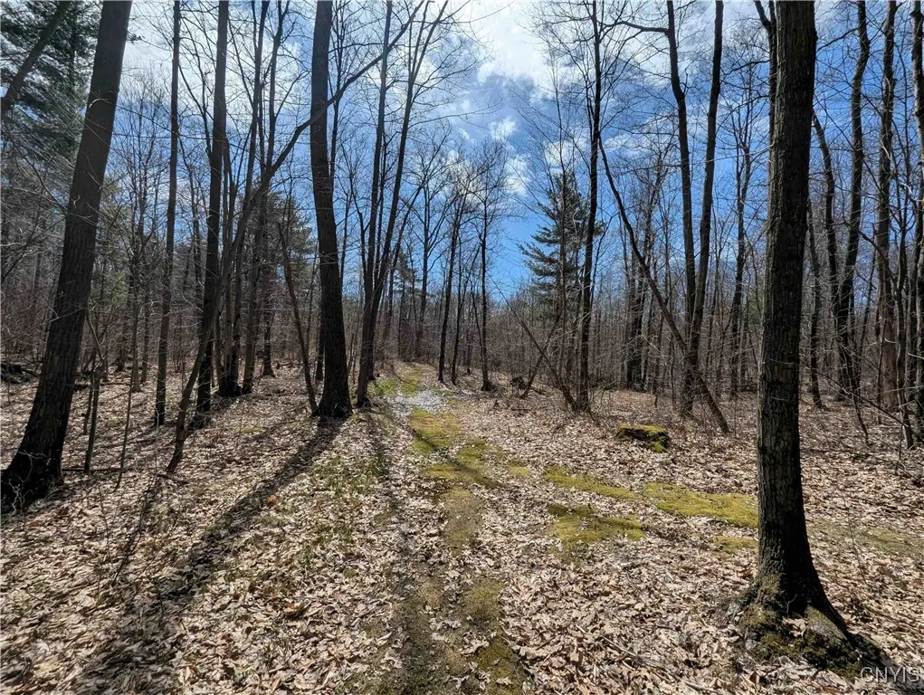 Swartz Road, Springwater, New York 14437, Springwater, New York 14437, ,Land,Closed,Swartz Road, Springwater, New York 14437,0,S1604010