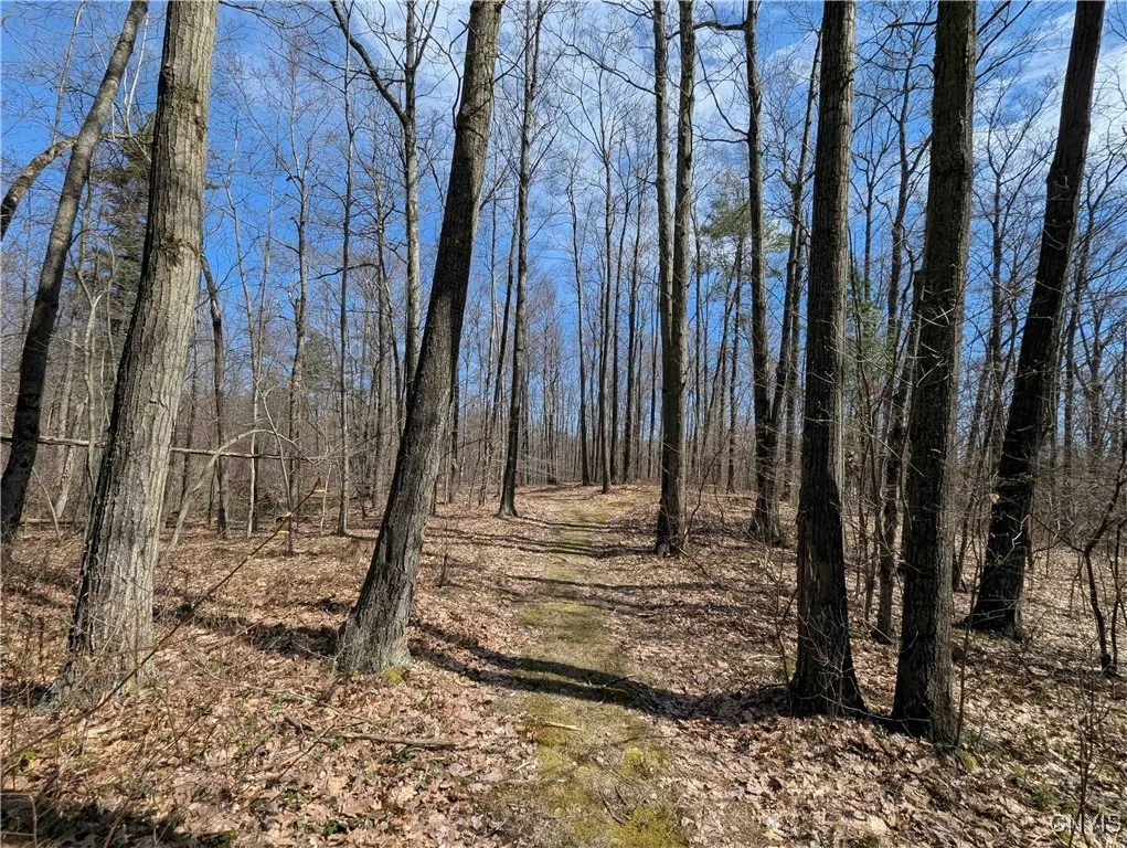 Swartz Road, Springwater, New York 14437, Springwater, New York 14437, ,Land,Closed,Swartz Road, Springwater, New York 14437,0,S1604010