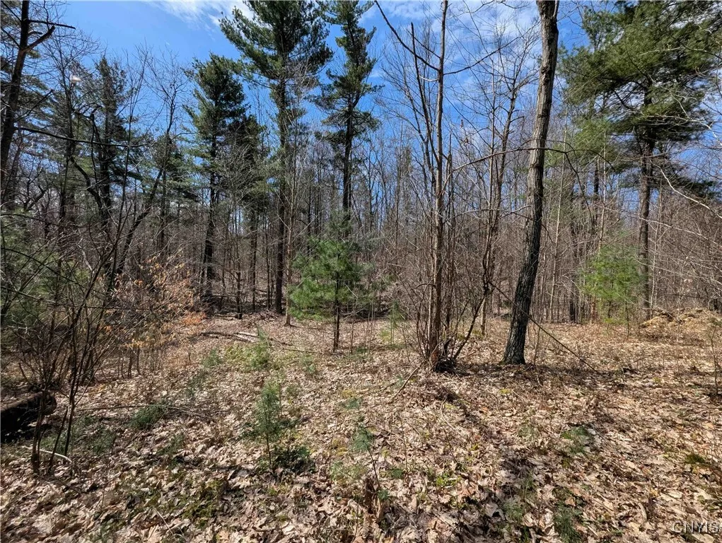 Swartz Road, Springwater, New York 14437, Springwater, New York 14437, ,Land,Closed,Swartz Road, Springwater, New York 14437,0,S1604010