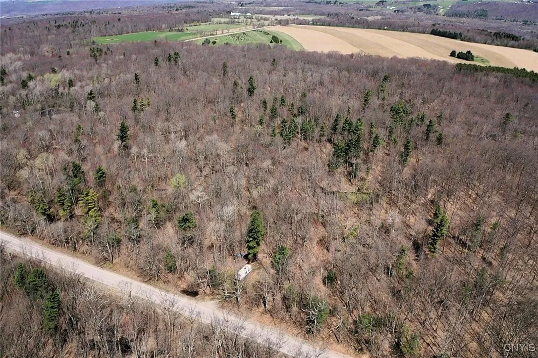 Swartz Road, Springwater, New York 14437, Springwater, New York 14437, ,Land,Closed,Swartz Road, Springwater, New York 14437,0,S1604010