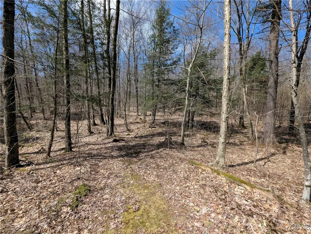 Swartz Road, Springwater, New York 14437, Springwater, New York 14437, ,Land,Closed,Swartz Road, Springwater, New York 14437,0,S1604010