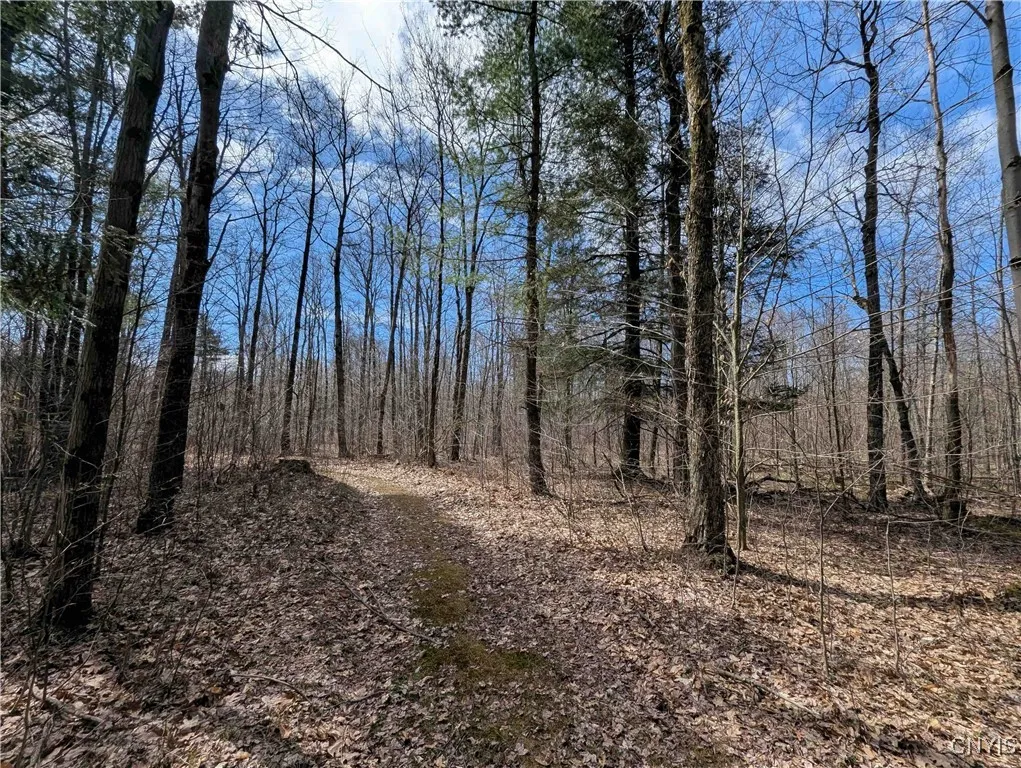 Swartz Road, Springwater, New York 14437, Springwater, New York 14437, ,Land,Closed,Swartz Road, Springwater, New York 14437,0,S1604010