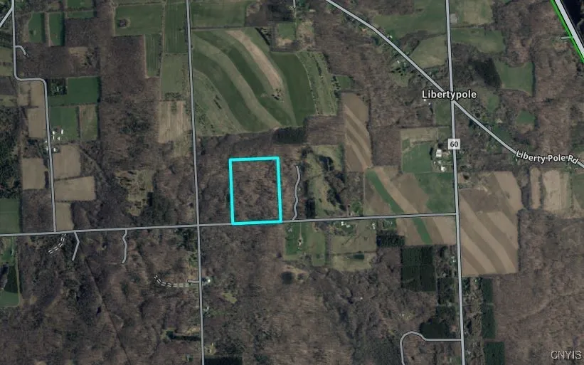 Swartz Road, Springwater, New York 14437, Springwater, New York 14437, ,Land,Closed,Swartz Road, Springwater, New York 14437,0,S1604010