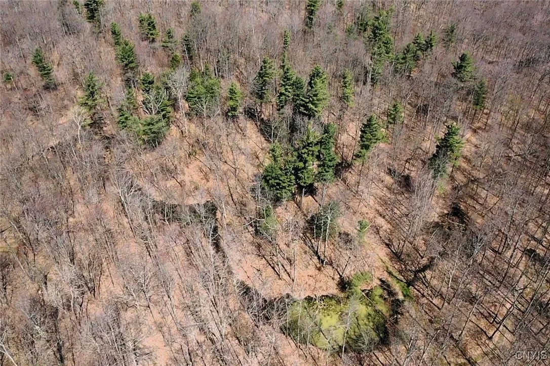 Swartz Road, Springwater, New York 14437, Springwater, New York 14437, ,Land,Closed,Swartz Road, Springwater, New York 14437,0,S1604010