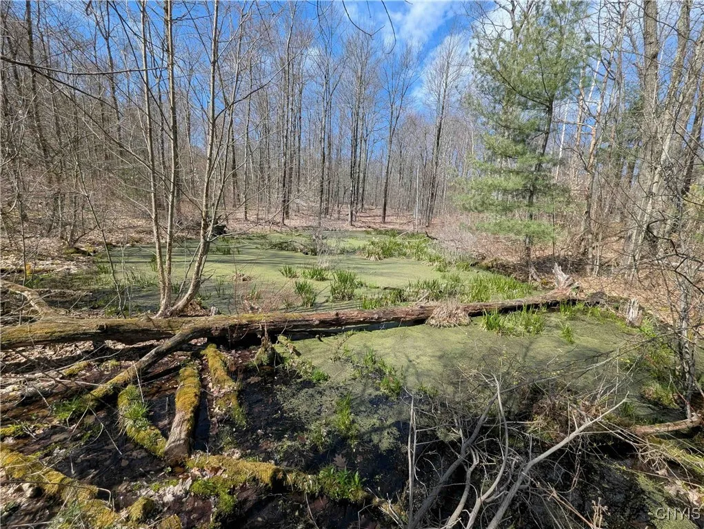 Swartz Road, Springwater, New York 14437, Springwater, New York 14437, ,Land,Closed,Swartz Road, Springwater, New York 14437,0,S1604010