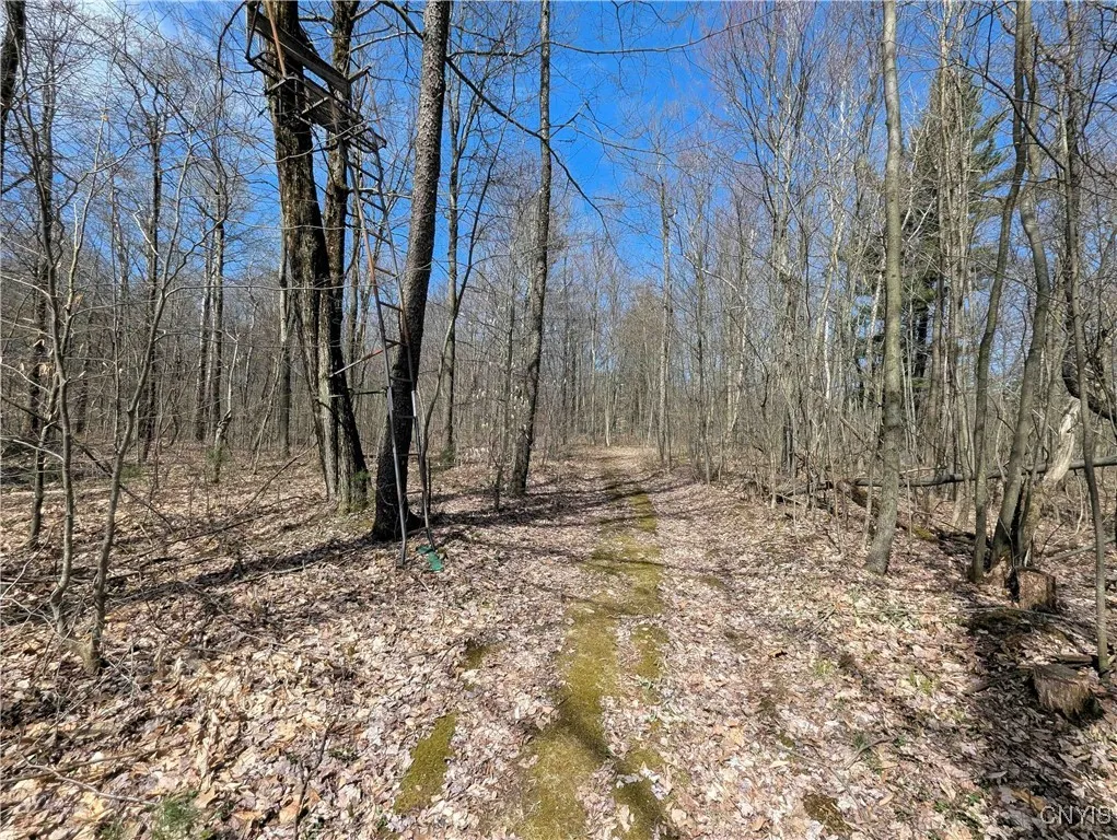 Swartz Road, Springwater, New York 14437, Springwater, New York 14437, ,Land,Closed,Swartz Road, Springwater, New York 14437,0,S1604010