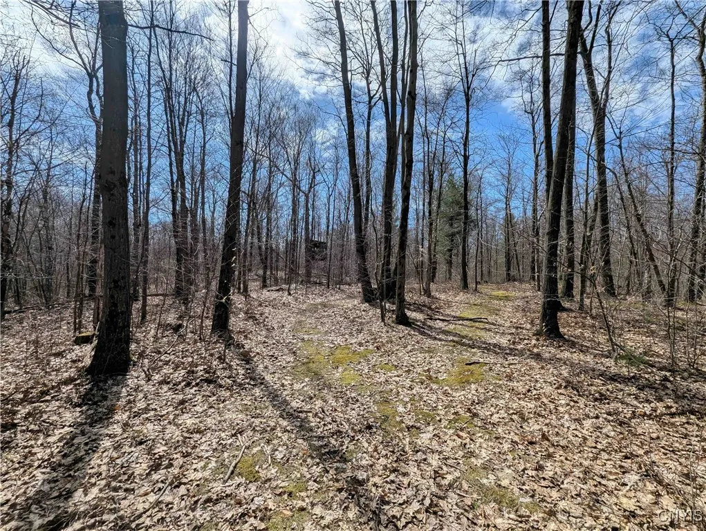 Swartz Road, Springwater, New York 14437, Springwater, New York 14437, ,Land,Closed,Swartz Road, Springwater, New York 14437,0,S1604010