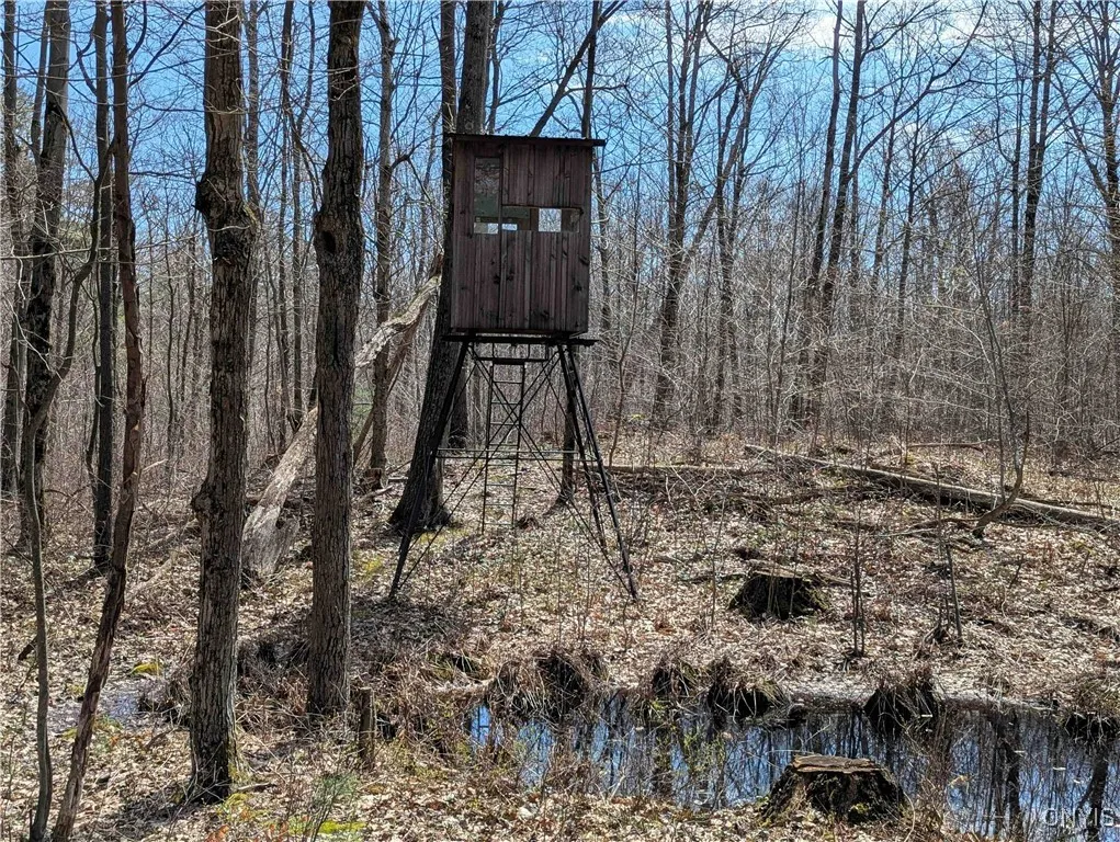 Swartz Road, Springwater, New York 14437, Springwater, New York 14437, ,Land,Closed,Swartz Road, Springwater, New York 14437,0,S1604010