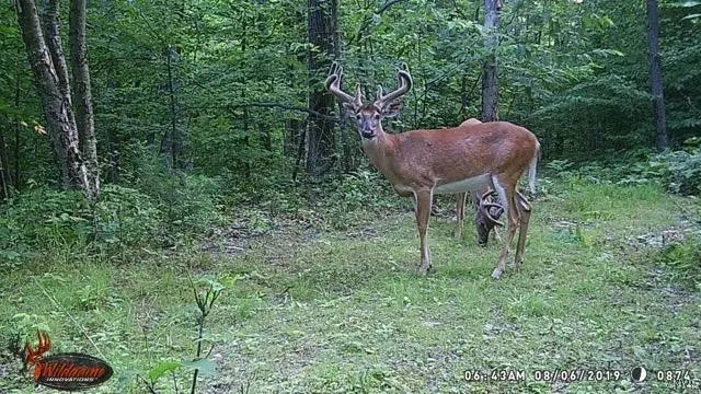 Swartz Road, Springwater, New York 14437, Springwater, New York 14437, ,Land,Closed,Swartz Road, Springwater, New York 14437,0,S1604010