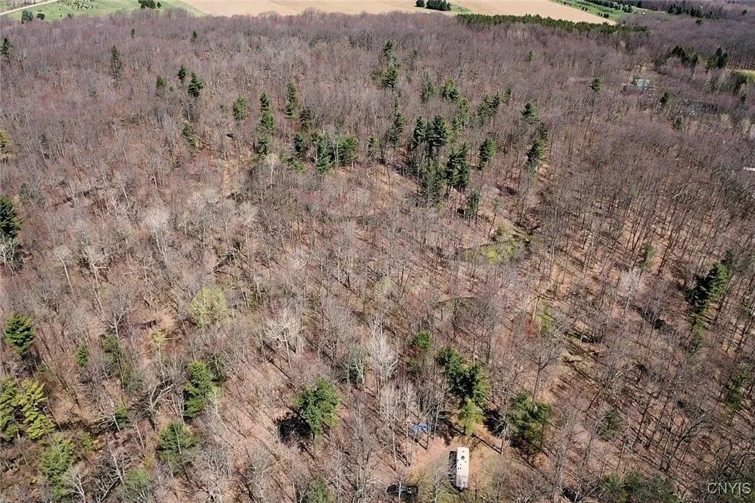 Swartz Road, Springwater, New York 14437, Springwater, New York 14437, ,Land,Closed,Swartz Road, Springwater, New York 14437,0,S1604010