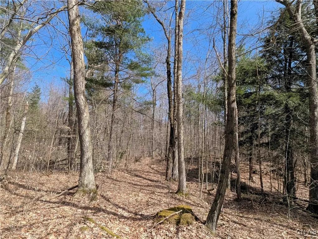 Swartz Road, Springwater, New York 14437, Springwater, New York 14437, ,Land,Closed,Swartz Road, Springwater, New York 14437,0,S1604010