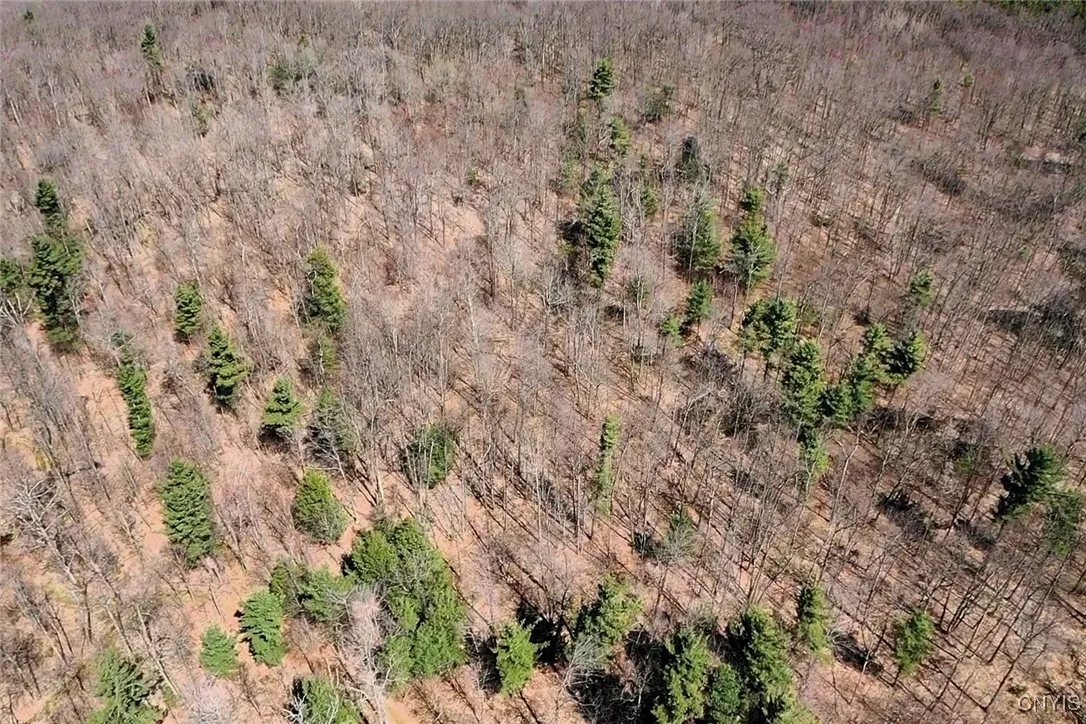 Swartz Road, Springwater, New York 14437, Springwater, New York 14437, ,Land,Closed,Swartz Road, Springwater, New York 14437,0,S1604010