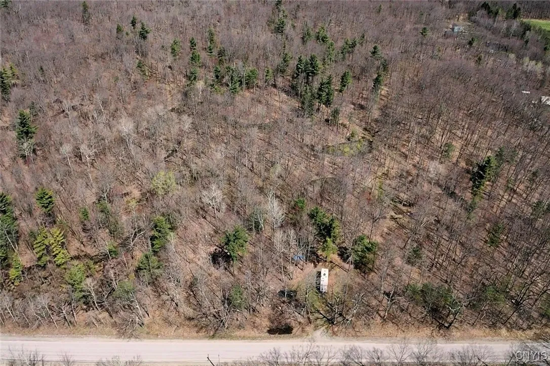 Swartz Road, Springwater, New York 14437, Springwater, New York 14437, ,Land,Closed,Swartz Road, Springwater, New York 14437,0,S1604010