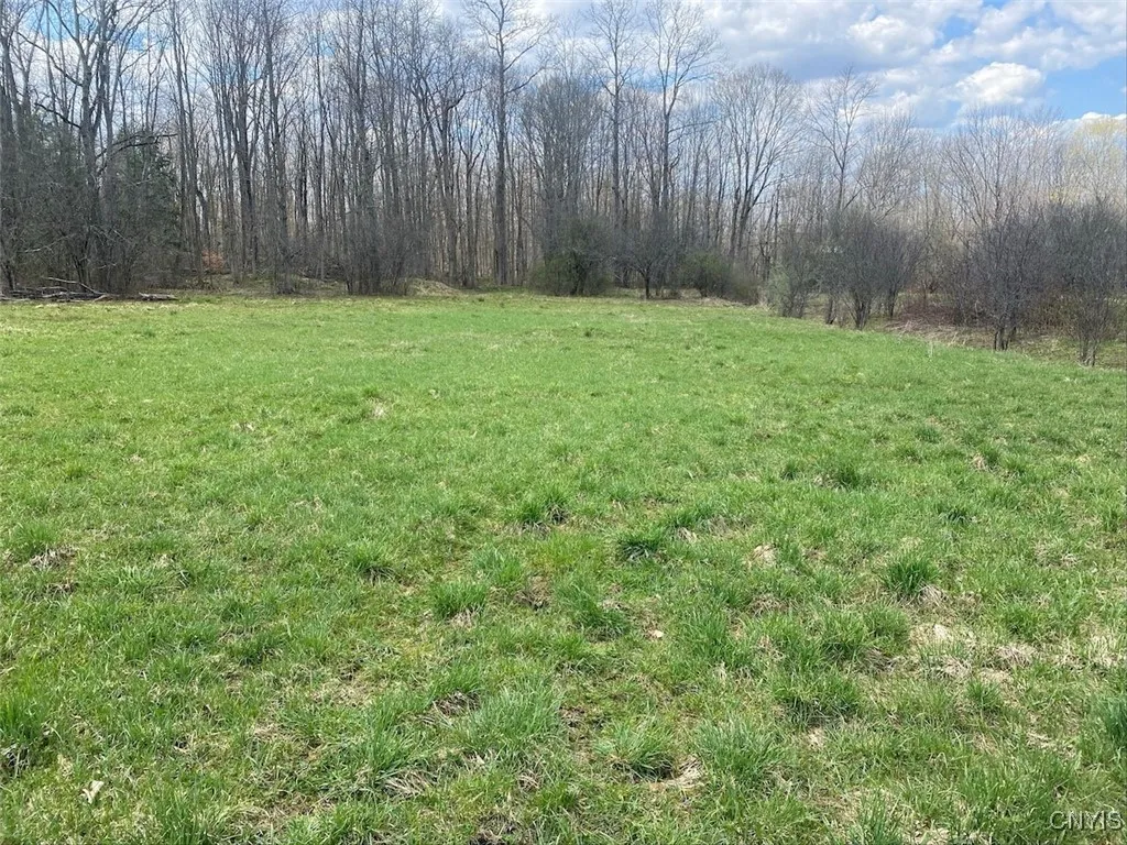 6366 East Hill Road, Caneadea, New York 14717, Caneadea, New York 14717, ,Land,Closed,6366 East Hill Road, Caneadea, New York 14717,0,S1604025