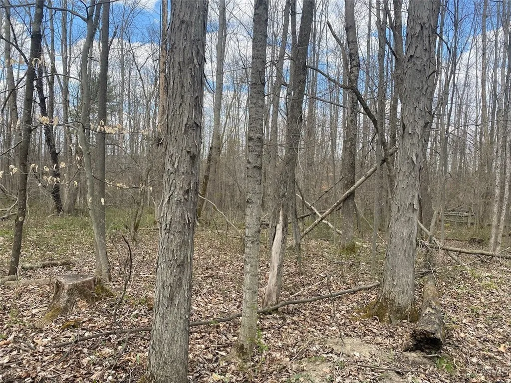 6366 East Hill Road, Caneadea, New York 14717, Caneadea, New York 14717, ,Land,Closed,6366 East Hill Road, Caneadea, New York 14717,0,S1604025