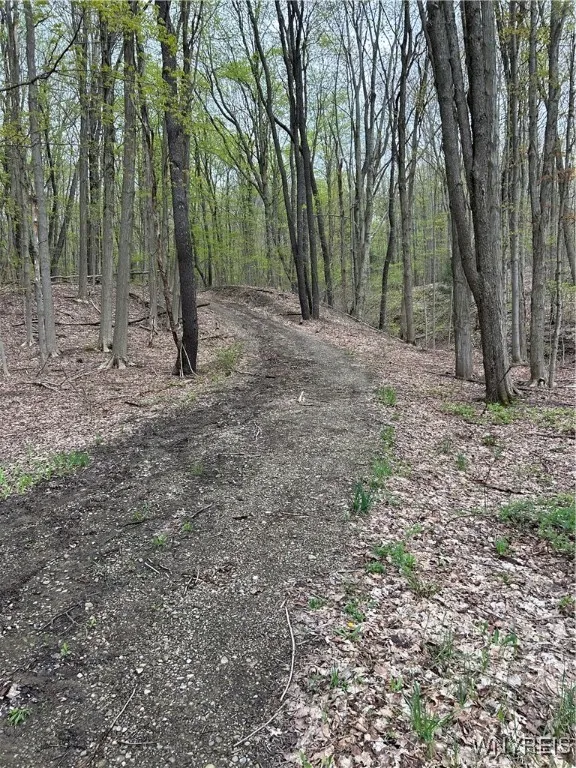 State Road, Colden, New York 14033, Colden, New York 14033, ,Land,Closed,State Road, Colden, New York 14033,0,B1604063