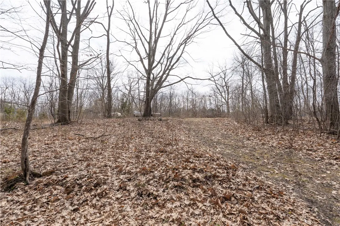 0 Houston Road Road, Torrey, New York 14527, Torrey, New York 14527, ,Land,Closed,0 Houston Road Road, Torrey, New York 14527,0,R1604038