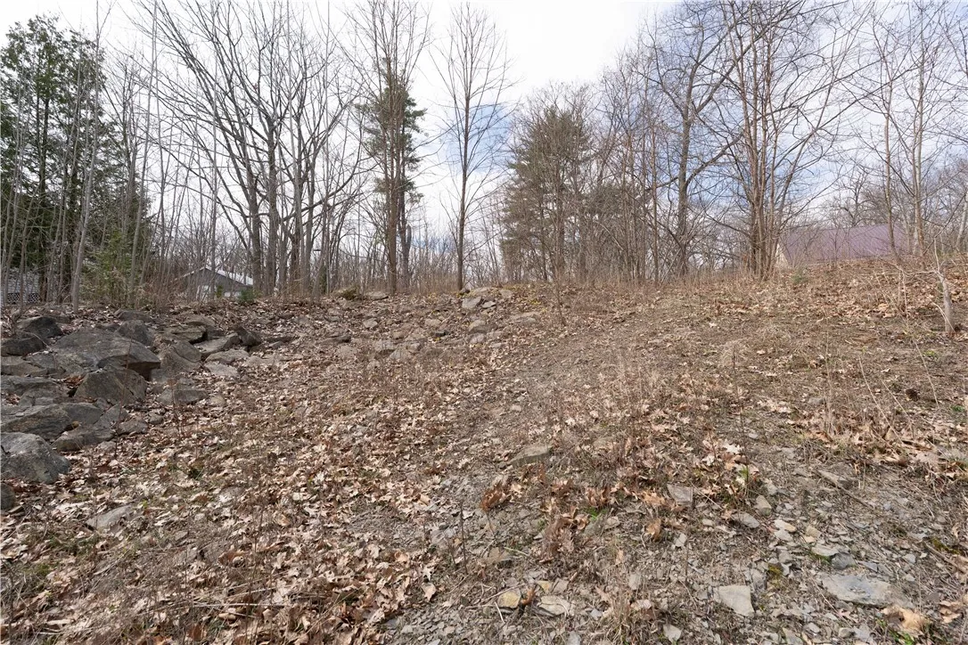 0 Houston Road Road, Torrey, New York 14527, Torrey, New York 14527, ,Land,Closed,0 Houston Road Road, Torrey, New York 14527,0,R1604038