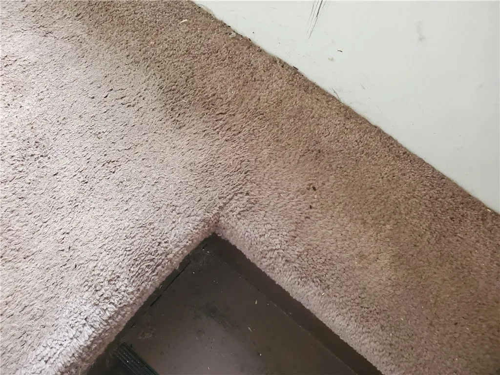 212 Mechanic Street, Elmira-city, New York 14904, Elmira City, New York 14904, 2 Bedrooms Bedrooms, 6 Rooms Rooms,1 BathroomBathrooms,Residential,Closed,212 Mechanic Street, Elmira-city, New York 14904,0,R1604320