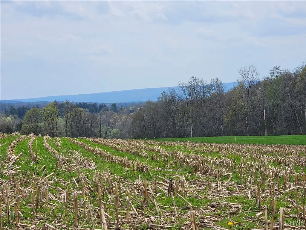 Closer along Hall Road and east looking south. Great vista for a home, don't you think?