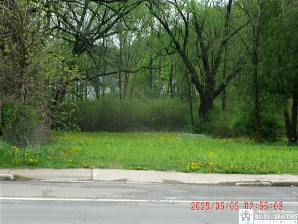 629 South Union Street, Olean-city, New York 14760, Olean, New York 14760, 3 Bedrooms Bedrooms, ,1 BathroomBathrooms,Land,For Sale,629 South Union Street, Olean-city, New York 14760,0,R1604471