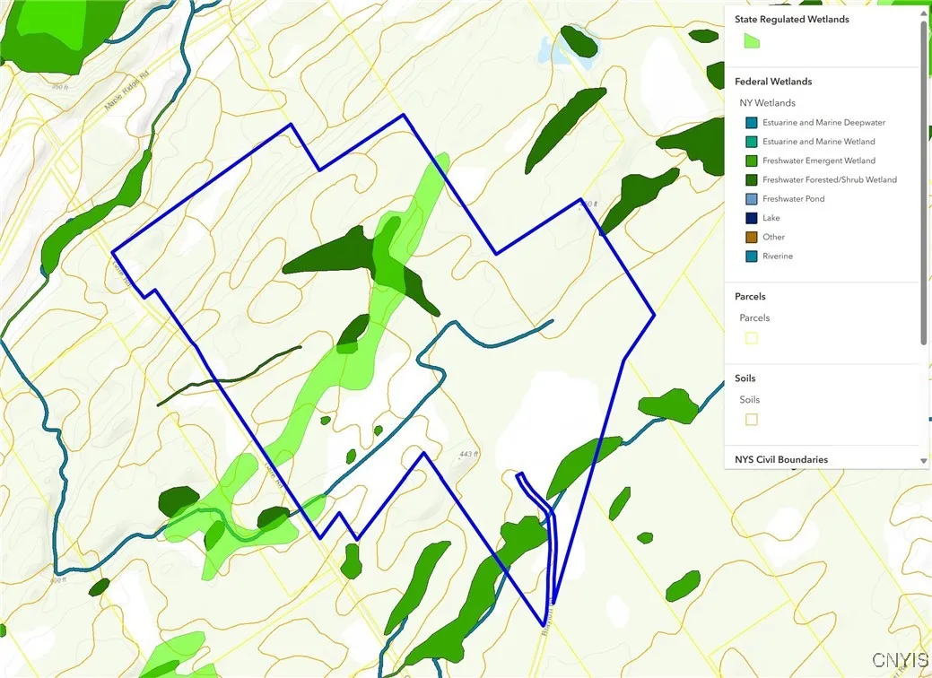 101 Brayton Road, Dekalb, New York 13630, Dekalb, New York 13630, ,Land,For Sale,101 Brayton Road, Dekalb, New York 13630,0,S1604641