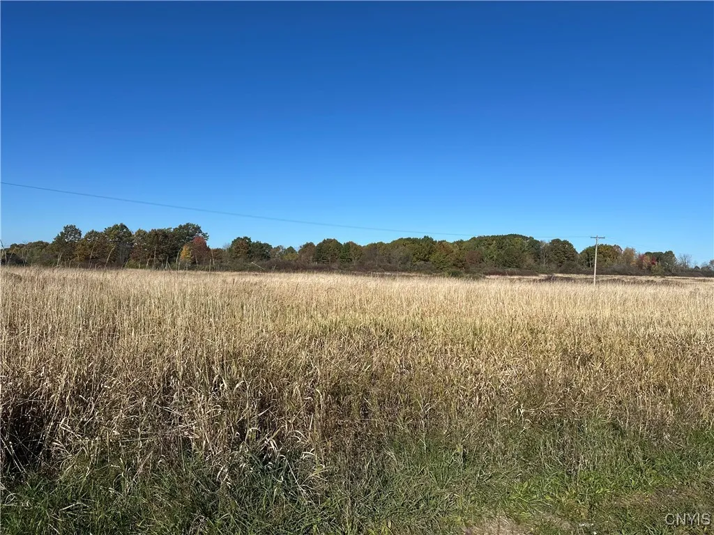 101 Brayton Road, Dekalb, New York 13630, Dekalb, New York 13630, ,Land,For Sale,101 Brayton Road, Dekalb, New York 13630,0,S1604641