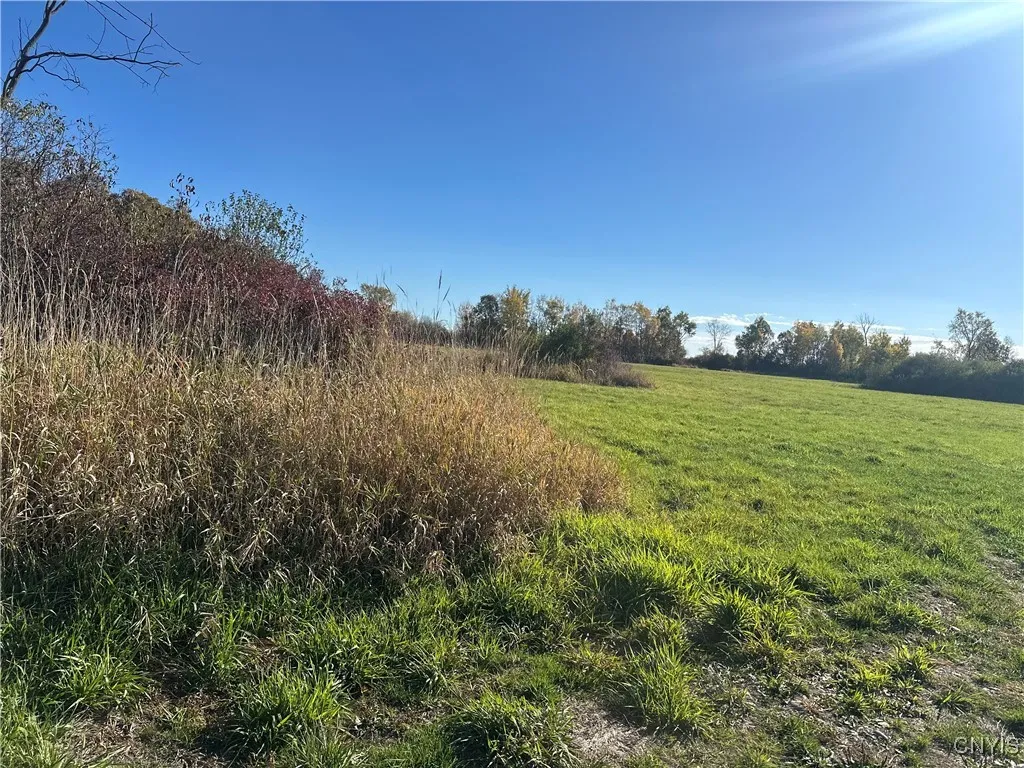 101 Brayton Road, Dekalb, New York 13630, Dekalb, New York 13630, ,Land,For Sale,101 Brayton Road, Dekalb, New York 13630,0,S1604641