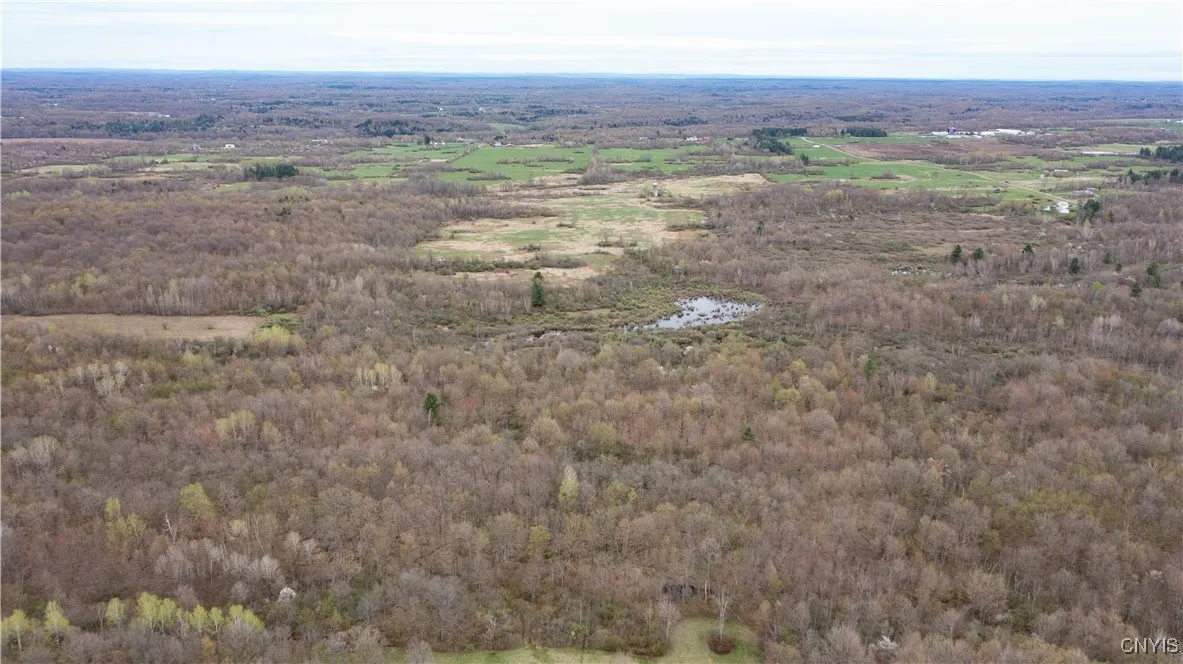 101 Brayton Road, Dekalb, New York 13630, Dekalb, New York 13630, ,Land,For Sale,101 Brayton Road, Dekalb, New York 13630,0,S1604641