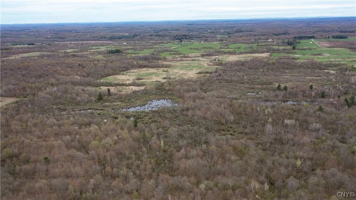 101 Brayton Road, Dekalb, New York 13630, Dekalb, New York 13630, ,Land,For Sale,101 Brayton Road, Dekalb, New York 13630,0,S1604641