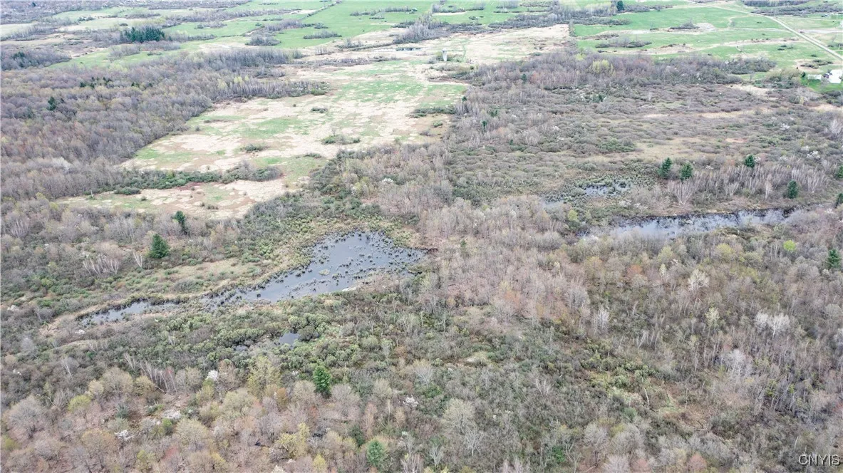 101 Brayton Road, Dekalb, New York 13630, Dekalb, New York 13630, ,Land,For Sale,101 Brayton Road, Dekalb, New York 13630,0,S1604641
