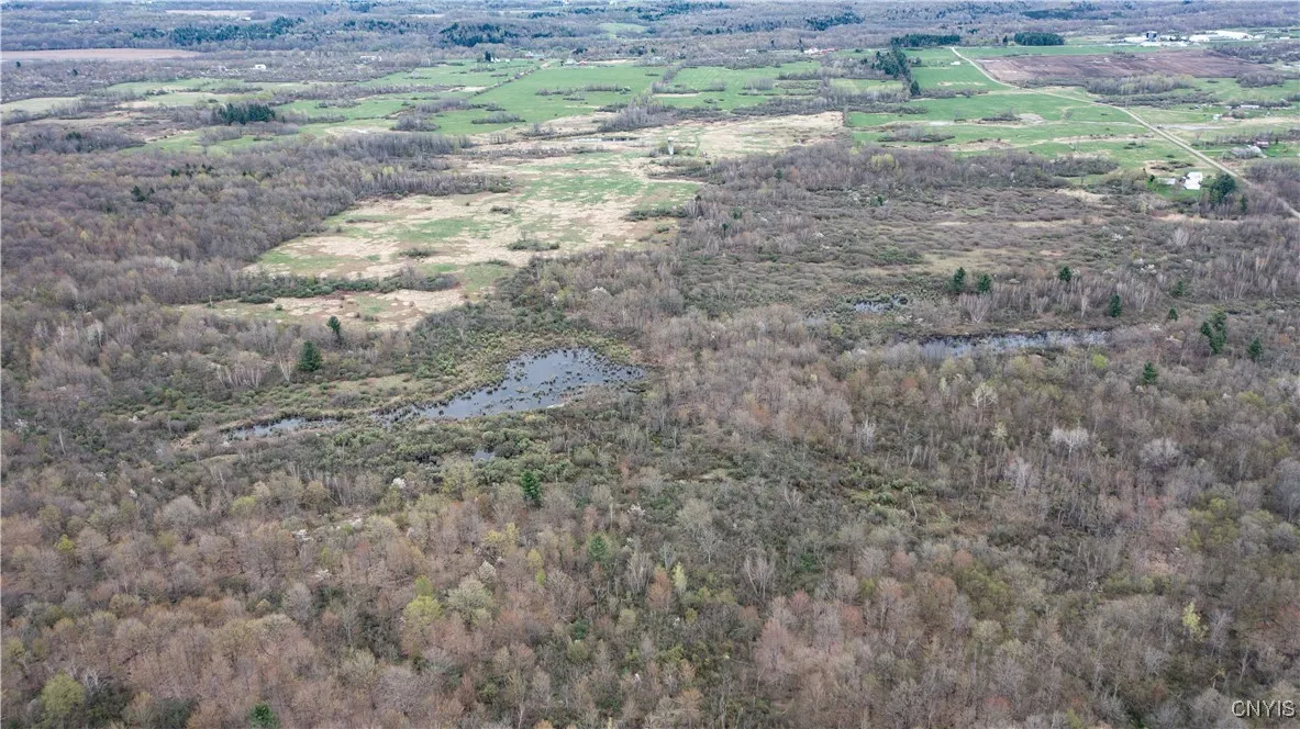 101 Brayton Road, Dekalb, New York 13630, Dekalb, New York 13630, ,Land,For Sale,101 Brayton Road, Dekalb, New York 13630,0,S1604641