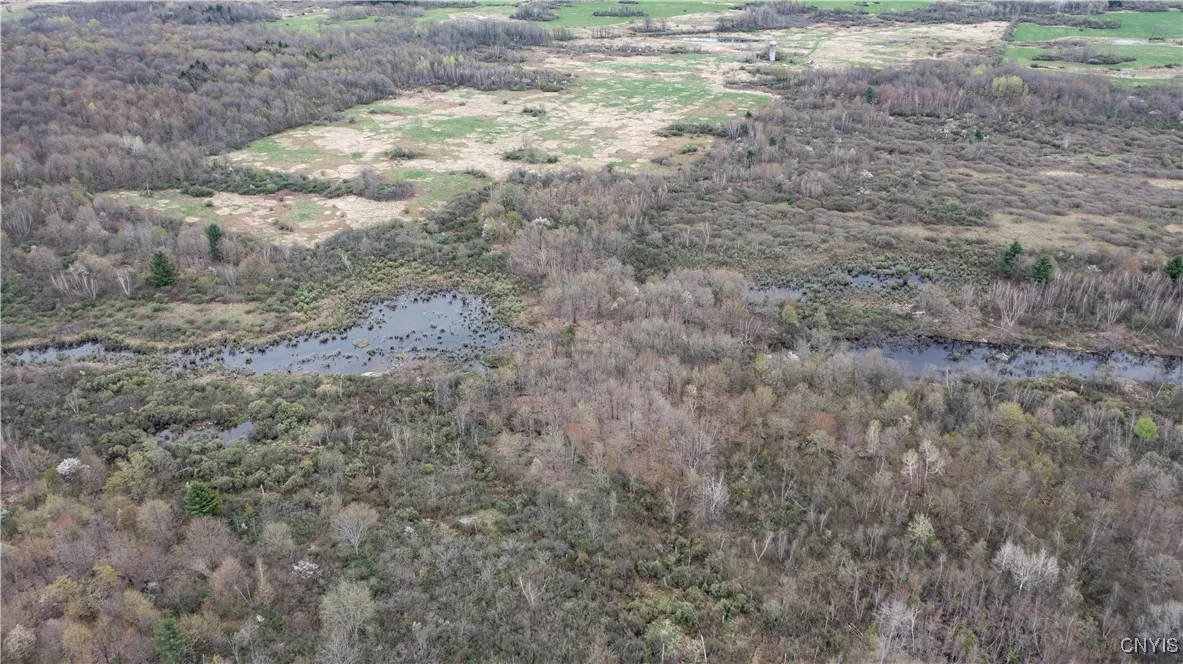 101 Brayton Road, Dekalb, New York 13630, Dekalb, New York 13630, ,Land,For Sale,101 Brayton Road, Dekalb, New York 13630,0,S1604641