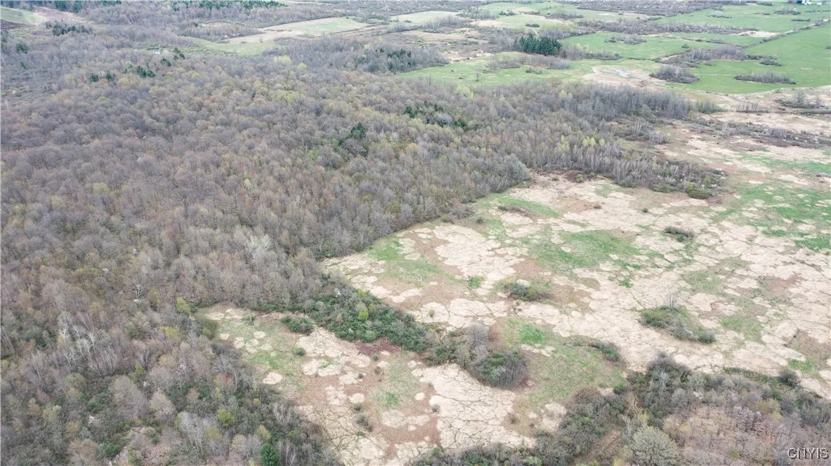 101 Brayton Road, Dekalb, New York 13630, Dekalb, New York 13630, ,Land,For Sale,101 Brayton Road, Dekalb, New York 13630,0,S1604641