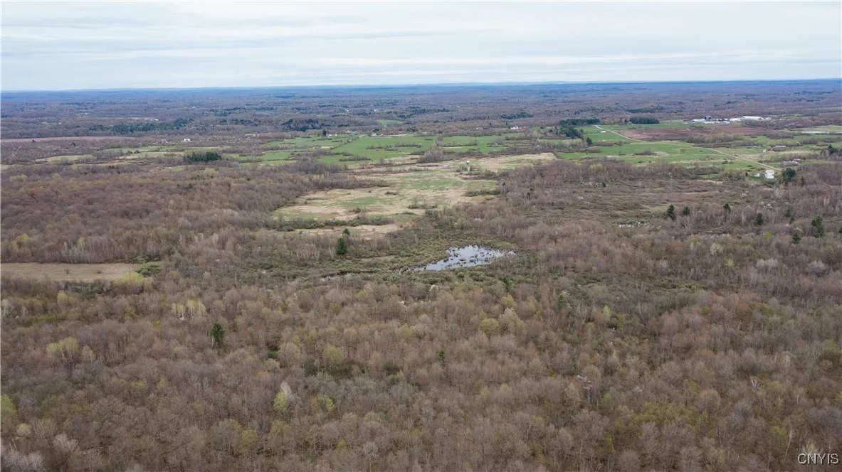 101 Brayton Road, Dekalb, New York 13630, Dekalb, New York 13630, ,Land,For Sale,101 Brayton Road, Dekalb, New York 13630,0,S1604641