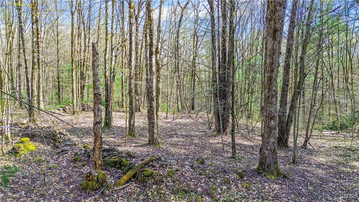 0 Old State Road, Amboy, New York 13493, Amboy, New York 13493, ,Land,For Sale,0 Old State Road, Amboy, New York 13493,0,S1604113