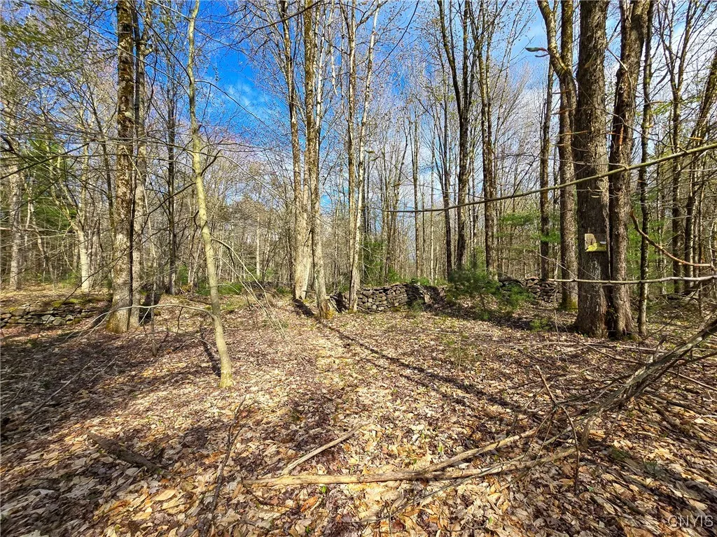 0 Old State Road, Amboy, New York 13493, Amboy, New York 13493, ,Land,For Sale,0 Old State Road, Amboy, New York 13493,0,S1604113