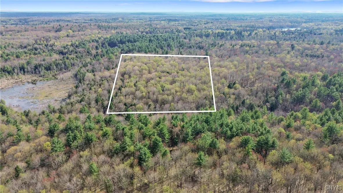 0 Old State Road, Amboy, New York 13493, Amboy, New York 13493, ,Land,For Sale,0 Old State Road, Amboy, New York 13493,0,S1604113