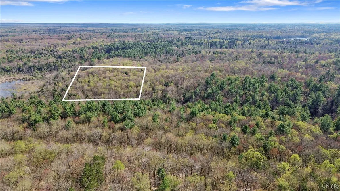 0 Old State Road, Amboy, New York 13493, Amboy, New York 13493, ,Land,For Sale,0 Old State Road, Amboy, New York 13493,0,S1604113