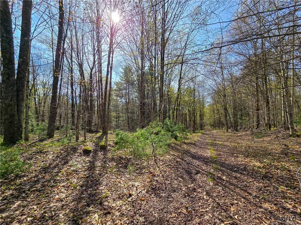 0 Old State Road, Amboy, New York 13493, Amboy, New York 13493, ,Land,For Sale,0 Old State Road, Amboy, New York 13493,0,S1604113