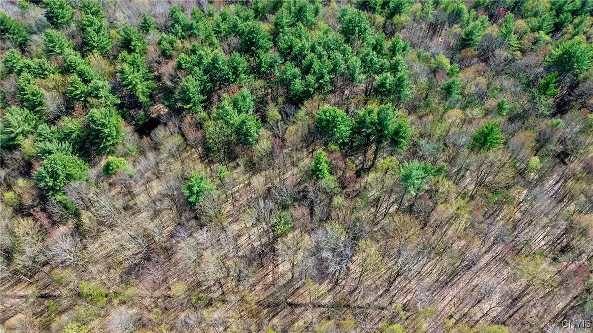 0 Old State Road, Amboy, New York 13493, Amboy, New York 13493, ,Land,For Sale,0 Old State Road, Amboy, New York 13493,0,S1604113