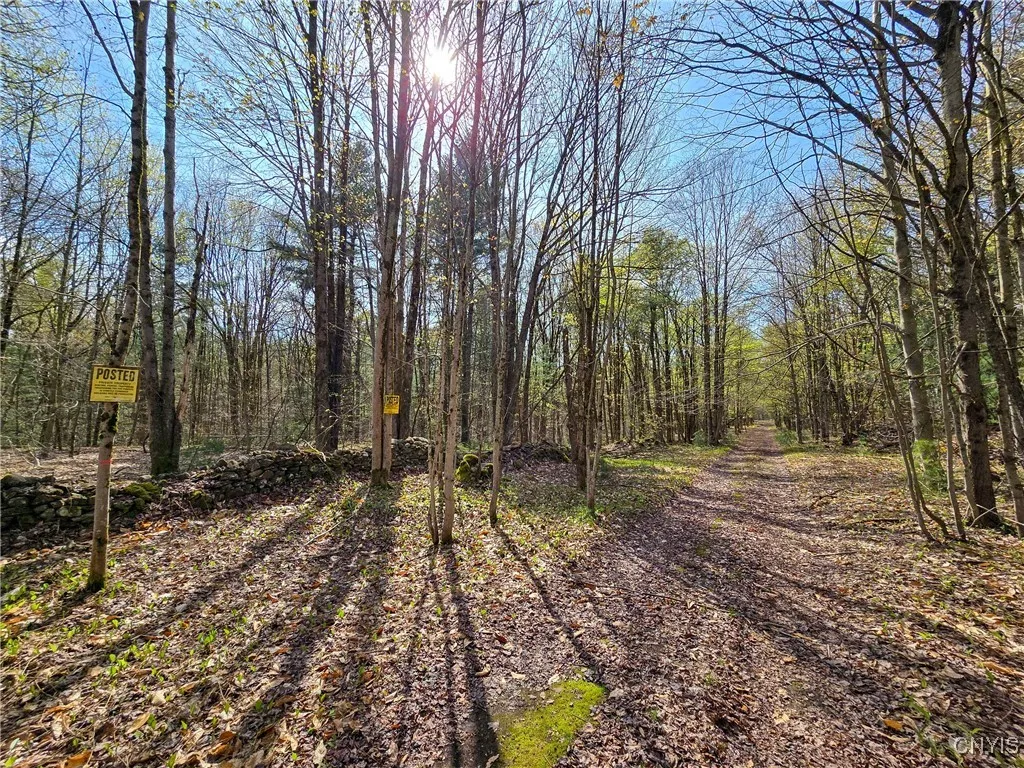 0 Old State Road, Amboy, New York 13493, Amboy, New York 13493, ,Land,For Sale,0 Old State Road, Amboy, New York 13493,0,S1604113