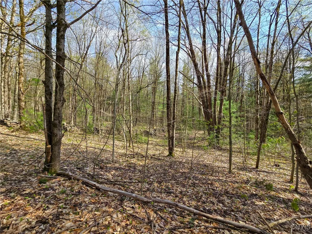 0 Old State Road, Amboy, New York 13493, Amboy, New York 13493, ,Land,For Sale,0 Old State Road, Amboy, New York 13493,0,S1604113