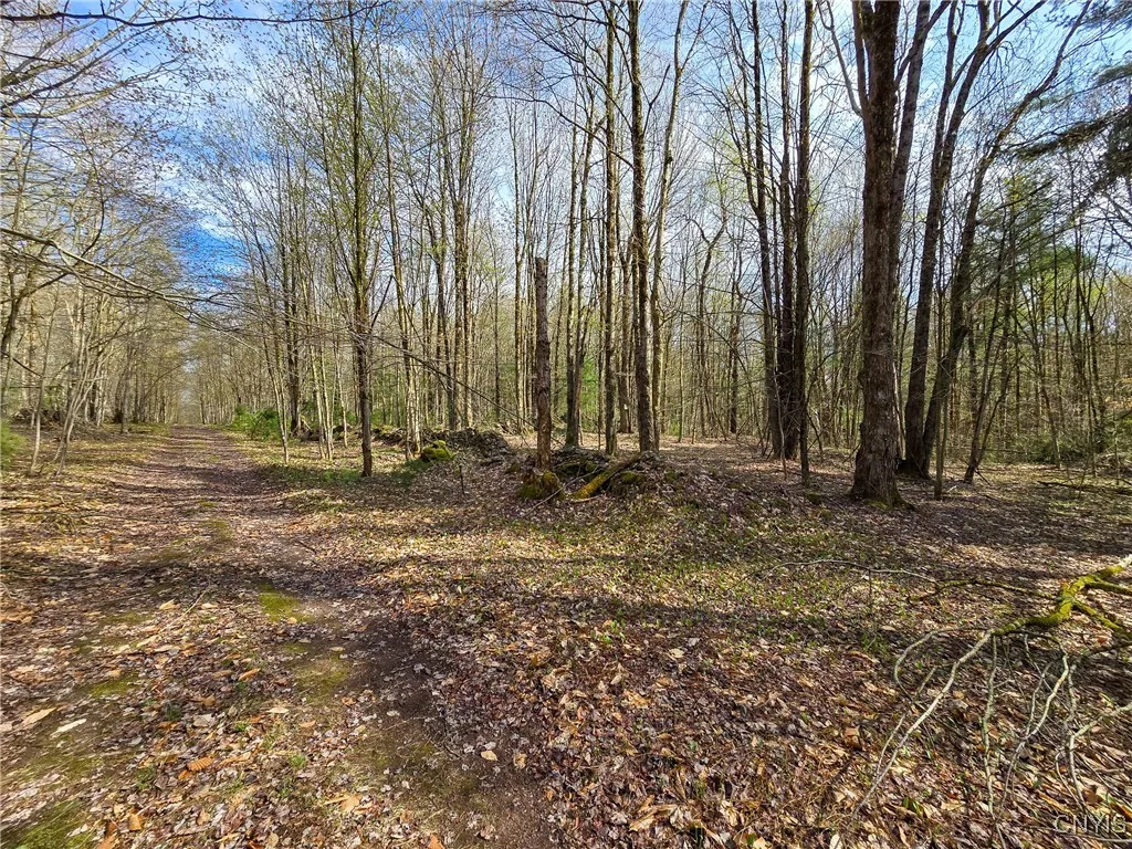 0 Old State Road, Amboy, New York 13493, Amboy, New York 13493, ,Land,For Sale,0 Old State Road, Amboy, New York 13493,0,S1604113