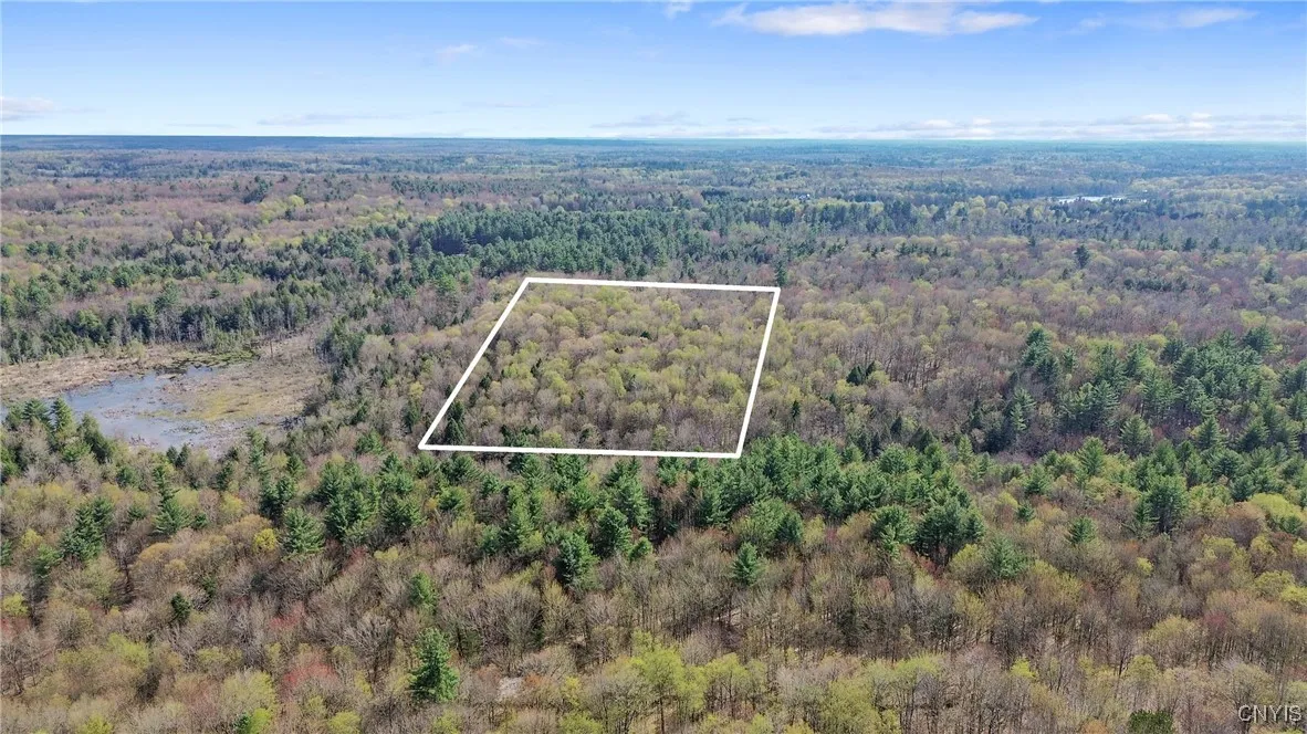 0 Old State Road, Amboy, New York 13493, Amboy, New York 13493, ,Land,For Sale,0 Old State Road, Amboy, New York 13493,0,S1604113