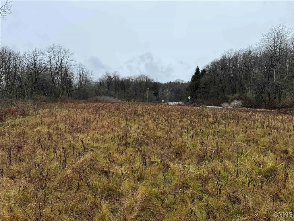 Town Line Road, Gerry, New York 14701, Gerry, New York 14701, ,Land,Closed,Town Line Road, Gerry, New York 14701,0,S1605034