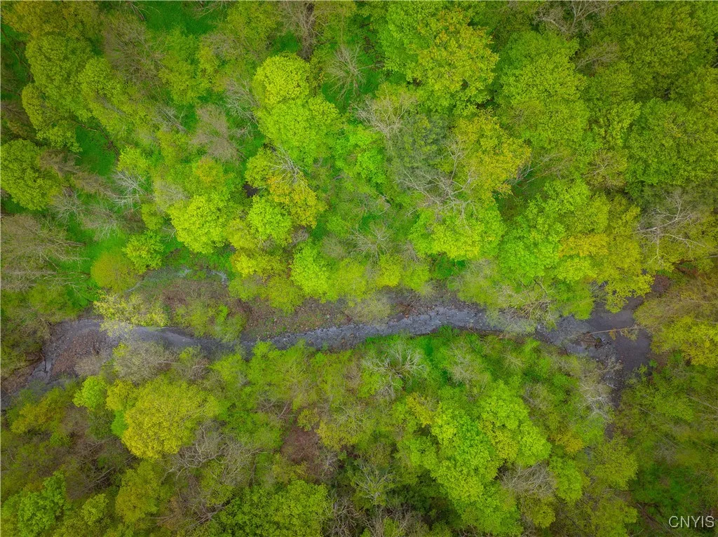 3883 State Route 28, Herkimer, New York 13350, Herkimer, New York 13350, ,Land,For Sale,3883 State Route 28, Herkimer, New York 13350,0,S1605142
